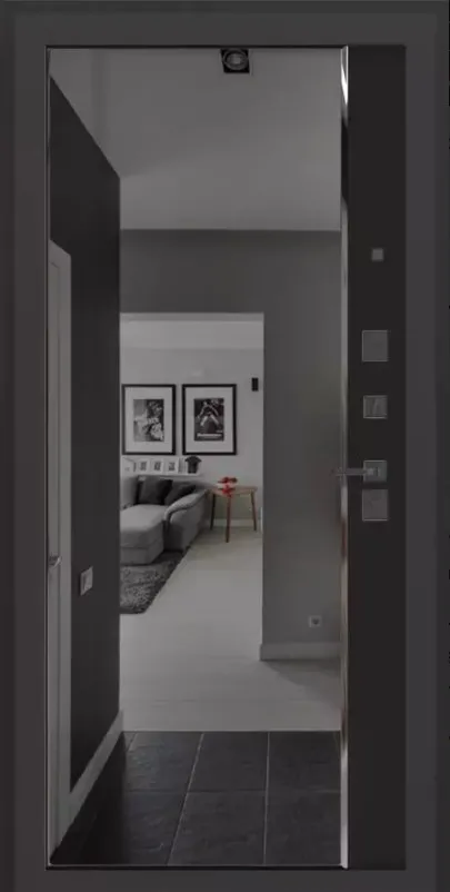 Товар Дверь CARBON DIS006616